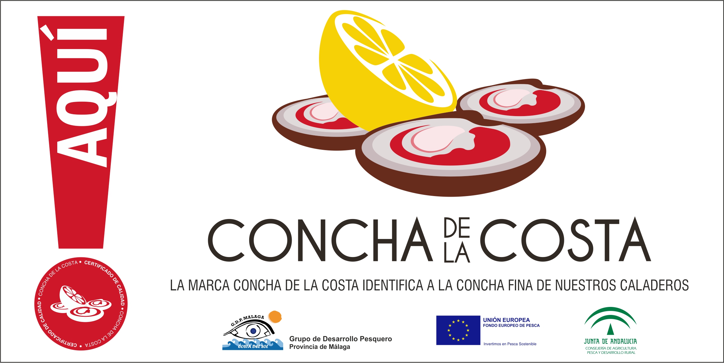 los videos de Concha de la Costa
